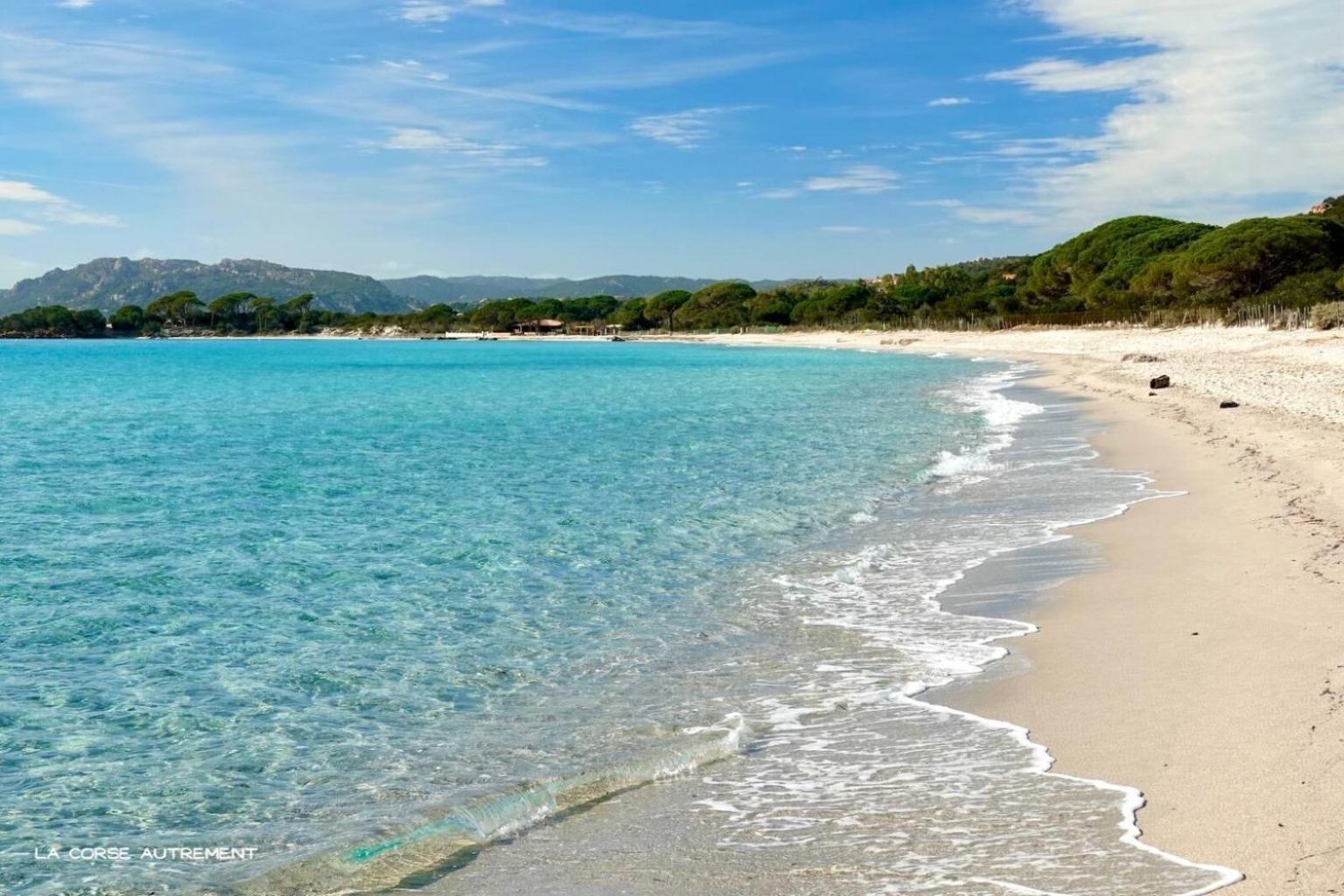 Bel Appartement Spacieux A Porto-Vecchio, 10Min A Pieds Du Centre Ville Екстер'єр фото